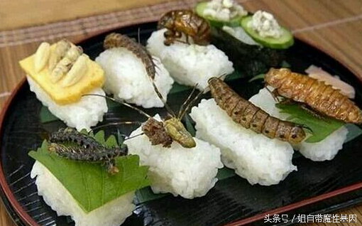 日本吃屎宴叫什么名字（全球最奇葩恶心食物）