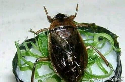 日本吃屎宴叫什么名字（全球最奇葩恶心食物）