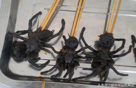 日本吃屎宴叫什么名字（全球最奇葩恶心食物）