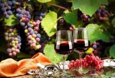 ​红酒为什么要醒酒?醒酒是什么意思?