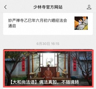 ​16岁出家，34岁任方丈，释永信随电影《少林寺》爆火起家，目前少林寺官号