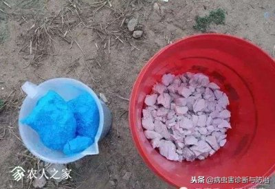 ​波尔多液的主要成分及配制方法（优质的波尔多液是怎么配制出来的？这篇文章给