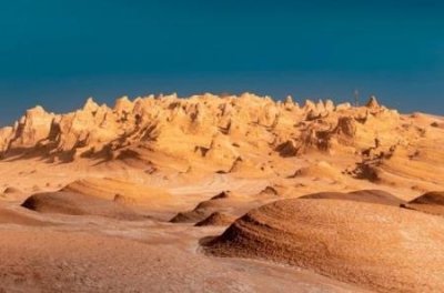 ​猕猴桃的最初得名源于哪个国家