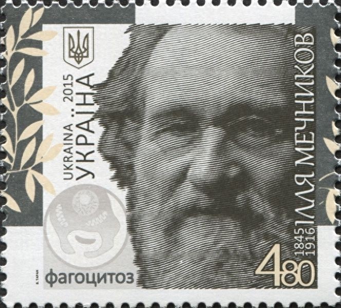 【肥鹅图说历史】1845年5月15日，乳酸菌之父梅契尼科夫诞生