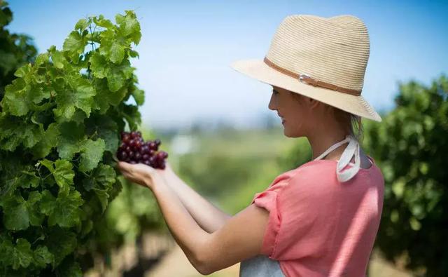 低成本创业适合年轻人：年轻人低成本加盟创业什么项目好？