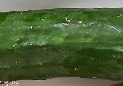 黄瓜怎么挑新鲜 黄瓜怎么保存时间长