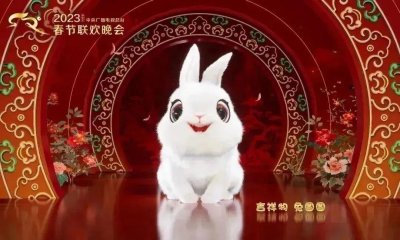 ​兔年必看！宠物兔日常饲养指南