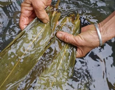 怎样包粽子好吃，怎样包粽子才好吃？图10