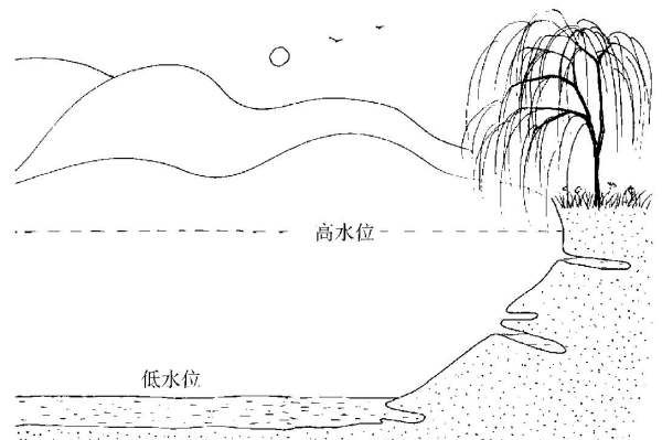 螃蟹的特性及特征,海边像螃蟹一样的生物是什么图3