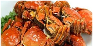 螃蟹的特性及特征,海边像螃蟹一样的生物是什么图4