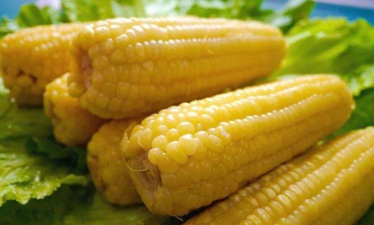 水果玉米煮几分钟最好吃