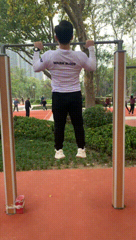 公园健身器材都有什么（公园的健身器材还能这么玩）(4)