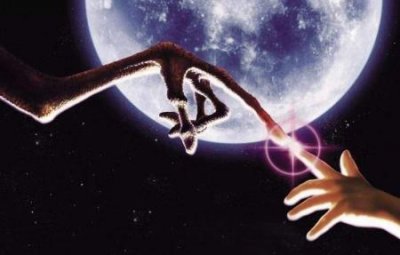 ​未解之谜：不冬眠的动物都有哪些？不冬眠的动物有哪些些野生动物