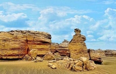 ​世界八大恐怖寄生虫 僵尸蚂蚁如同行尸走肉