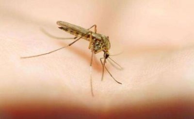 ​科学家对中国领导的研究声称人类祖先几乎灭绝表示怀疑