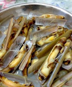 ​蛏子怎么读，蛏字怎么读？