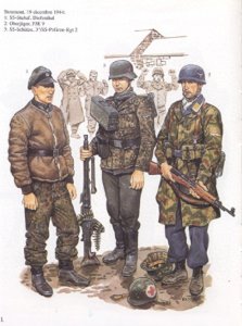 ​二战历史图集：纳粹德国时期的德军军服