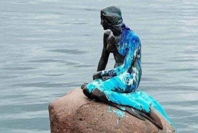 ​暹罗猫多少钱一只纯种