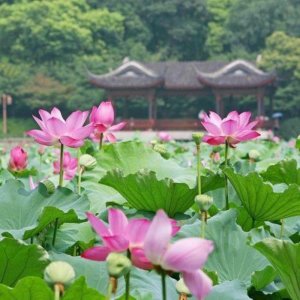 ​女生会喜欢老实的男生吗，愿意嫁给老实的男人