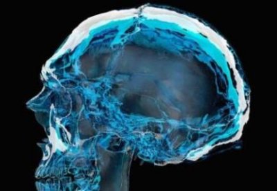 ​地球第一大胃王，一顿可以吃掉8吨食物，折合200万只虾