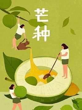 芒种代表仲夏的，芒种是什么季节？图2