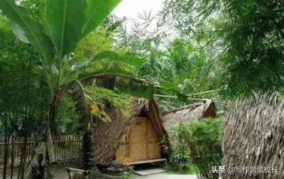 ​世界上最奇葩的“懒族”：认为生命在于静止，网友笑称找到了组织