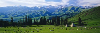 ​中国最大无人区羌塘，人类禁足之地有多可怕？穿越者多有去无回