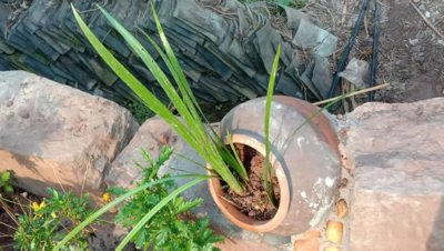 ​如何去掉视频中的文字 教你几种如何去掉原视频中的字幕的方法