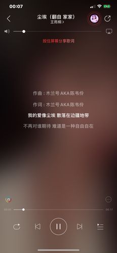 我的爱像尘埃是什么歌的歌词（哪首歌歌词我的爱像尘埃）