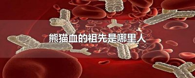​熊猫血的祖先是哪里人