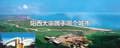 ​阳西大宗属于哪个城市