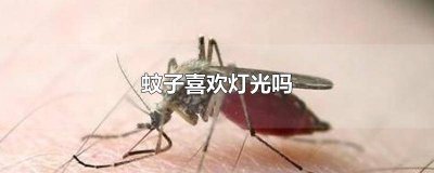 ​蚊子喜欢灯光吗图片卡通 蚊子喜欢灯光?