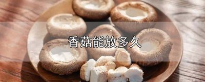 ​香菇能放多久