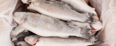 ​冷冻的鱼可以放多久