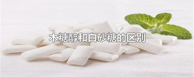 ​木糖醇和白砂糖的区别