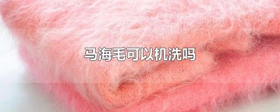 ​马海毛可以机洗吗