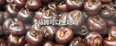 ​马蹄可以生吃吗