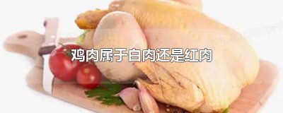 ​鸡肉属于白肉还是红肉
