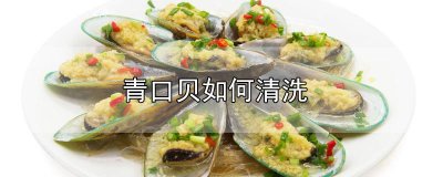 ​青口贝如何清洗