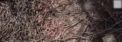 ​人类｜历史上一些具有巨大影响十大可怕灾难