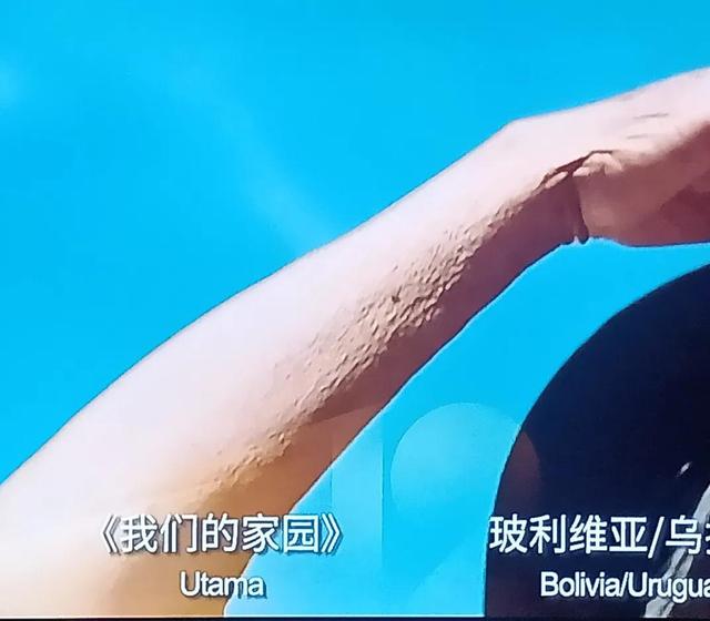 2025年十大必看电影（2025年值得一看的电影）(14)