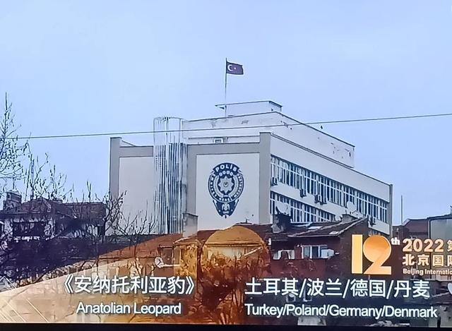 2025年十大必看电影（2025年值得一看的电影）(26)