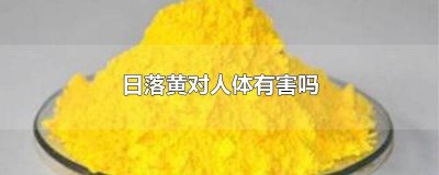 ​日落黄对人体有害吗