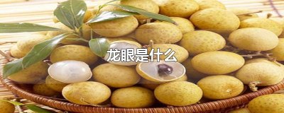 ​龙眼是什么