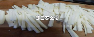 ​茭白怎么切