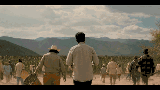 金三角毒品揭秘（毒品背后的真实罪恶）(10)