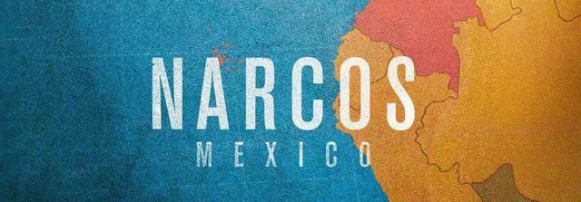 金三角毒品揭秘（毒品背后的真实罪恶）(18)