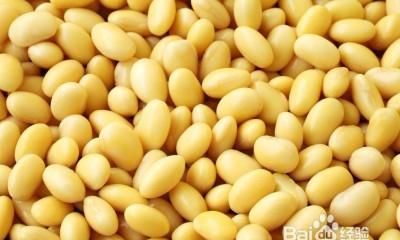 吃黄豆的好处和功效