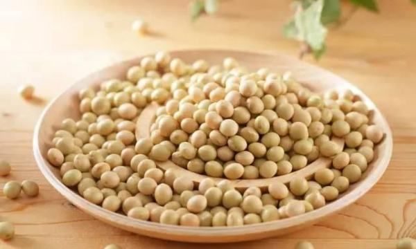 黄豆吃了有什么好处,经常吃黄豆有什么好处?有什么坏处?图7