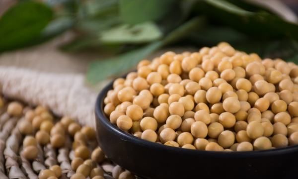 黄豆吃了有什么好处,经常吃黄豆有什么好处?有什么坏处?图6